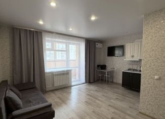 Сдается квартира студия, 31 м2, Амурская область, улица Василенко, 3/1