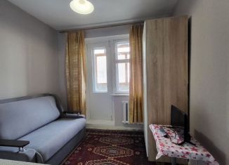 Квартира в аренду студия, 16 м2, Новосибирск, улица Зорге, 88, метро Площадь Маркса