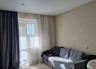 Сдача в аренду квартиры студии, 25 м2, Санкт-Петербург, проспект Авиаконструкторов, 63, Приморский район