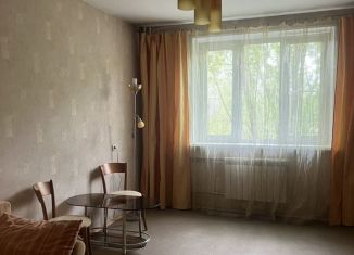 1-комнатная квартира в аренду, 43 м2, Нижний Новгород, улица Голубева, 8к1