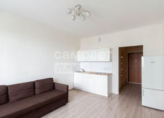 Продам квартиру студию, 24.4 м2, Кудрово, Австрийская улица, 4к1