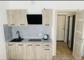 Квартира на продажу студия, 20 м2, Санкт-Петербург, Муринская дорога, 27к3, муниципальный округ Полюстрово