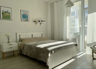 Сдаю в аренду квартиру студию, 24 м2, Санкт-Петербург, набережная реки Каменки, 7к2, муниципальный округ Коломяги