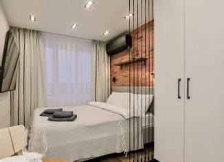 Сдача в аренду квартиры студии, 22 м2, Удмуртия, улица Холмогорова