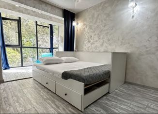 Сдаю 1-ком. квартиру, 35.1 м2, Сочи, Курортный проспект, 74/1, микрорайон Яна Фабрициуса