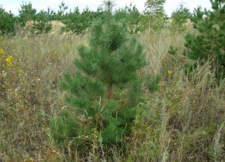 Продаю земельный участок, 8 сот., деревня Азьмушкино, Дальняя улица, 56