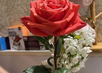 Сдаю дом, 150 м2, Махачкала, проспект Имама Шамиля, 142