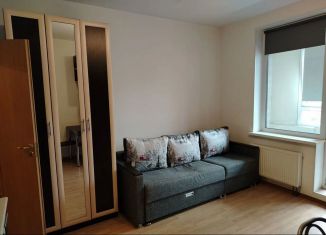 Квартира на продажу студия, 24 м2, Кудрово, Центральная улица, 50