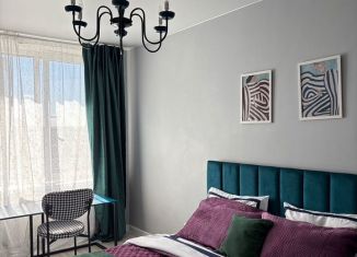 Аренда 1-комнатной квартиры, 38 м2, Мурино, проспект Авиаторов Балтики, 3к1, ЖК Девятый вал