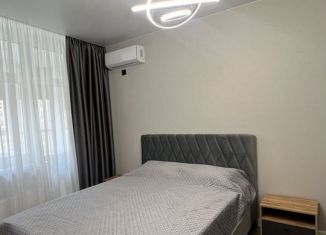 Сдаю 1-комнатную квартиру, 47 м2, Краснодар, улица Григория Булгакова, 16, микрорайон Достояние