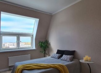 Продаю 2-ком. квартиру, 51.7 м2, Санкт-Петербург, набережная Матисова канала, 1, ЖК Наутилус