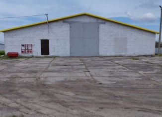 Аренда складского помещения, 500 м2, хутор Маяковского, Заводская улица, 28А
