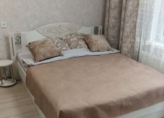 Сдам квартиру студию, 28 м2, Удмуртия, 9-я Подлесная улица, 11к3