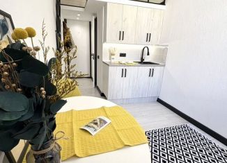 Продажа квартиры студии, 16 м2, Санкт-Петербург, улица Маяковского, 34/4, Центральный район