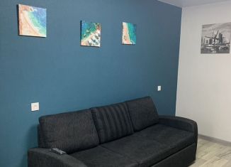 2-ком. квартира в аренду, 47 м2, Карелия, улица Горького, 36