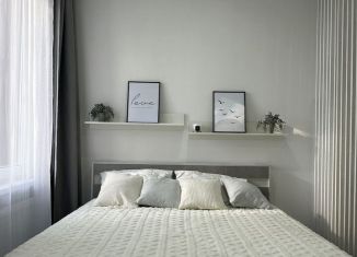 Сдача в аренду квартиры студии, 32 м2, Анапа, Анапское шоссе, 24к5, ЖК Раз-Два-Три