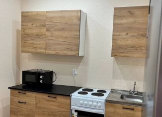 Сдам в аренду однокомнатную квартиру, 38 м2, Курчатов, Набережная улица, 19