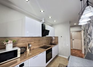 Сдаю в аренду 2-комнатную квартиру, 55 м2, Сочи, Дагомысская улица, 4, микрорайон Ареда