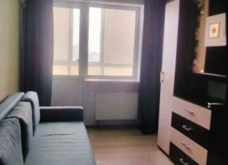 Продается 1-комнатная квартира, 27 м2, Тульская область, улица Лётчика Пирожкова, 1