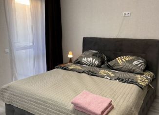 Сдача в аренду квартиры студии, 30 м2, Ростов-на-Дону, улица Нансена, Октябрьский район