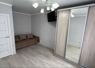 Сдаю 1-ком. квартиру, 35 м2, Ростов-на-Дону, улица Ерёменко, ЖК Пятый Элемент