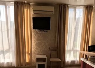 Продается квартира студия, 24 м2, Сочи, Крымская улица, 81, микрорайон Мамайка