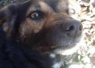 Продается гараж, 30 м2, Симферополь, площадь Ленина