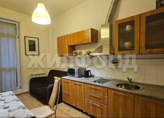 Продам 1-комнатную квартиру, 41.7 м2, Новосибирск, микрорайон Горский, 8А, метро Речной вокзал
