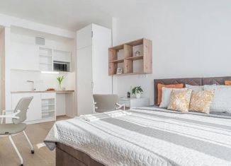 Продается квартира студия, 21.8 м2, Санкт-Петербург, Большой Казачий переулок, 10, метро Сенная площадь