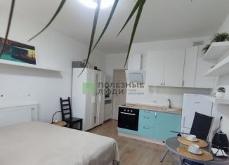Продам квартиру студию, 24.7 м2, Кудрово, Столичная улица, 6к2