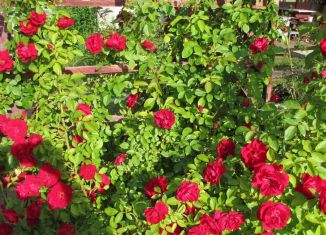 Продается дача, 56 м2, массив Алёшиха, СНТ Прогресс, 154