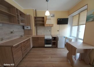 Продажа квартиры студии, 24 м2, Светлогорск, Яблоневая улица, 8