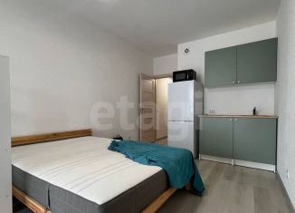 Сдаю квартиру студию, 24.5 м2, Санкт-Петербург, улица Генерала Кравченко, 8, Красносельский район