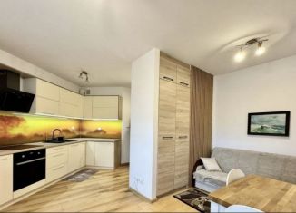 Продается квартира студия, 21.6 м2, Санкт-Петербург, 9-я Советская улица, 20, муниципальный округ Смольнинское