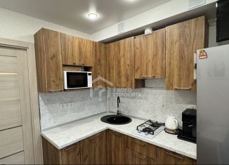 Продам однокомнатную квартиру, 32 м2, Петергоф, Озерковая улица, 51к1