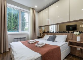 Сдается квартира студия, 23 м2, Сочи, переулок Рахманинова, 36/5, микрорайон Новый Сочи