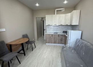 Сдается квартира студия, 20 м2, Краснодар, Тепличная улица, 62/1к6, микрорайон Завод Радиоизмерительных Приборов