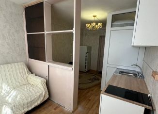 Аренда квартиры студии, 27 м2, Сочи, улица Голубые Дали, 74, микрорайон Голубые Дали