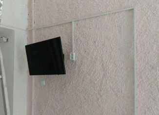 Сдаю в аренду офис, 13 м2, Выборг, Физкультурная улица, 17