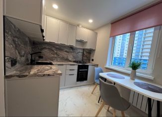 Продажа 2-комнатной квартиры, 50.4 м2, Санкт-Петербург, улица Белышева, 4К, Невский район