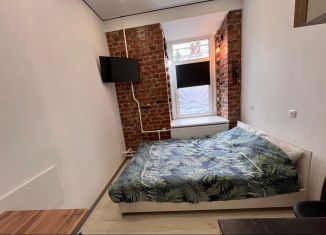 Квартира в аренду студия, 14 м2, Санкт-Петербург, улица Комсомола, 7Б, Калининский район