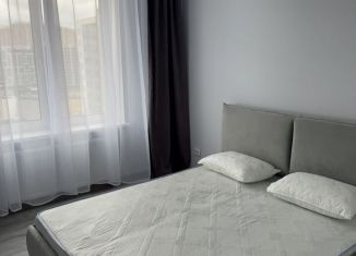 Однокомнатная квартира в аренду, 34 м2, Кудрово, Солнечная улица, 2