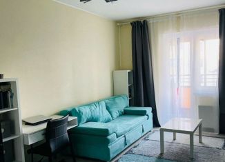 Квартира на продажу студия, 28 м2, Санкт-Петербург, ЖК Триумф Парк, Среднерогатская улица, 11