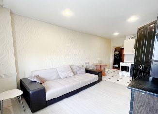 Сдаю в аренду квартиру студию, 23.4 м2, Отрадное, улица Гагарина, 20