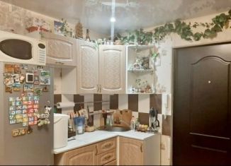 Сдам в аренду квартиру студию, 16 м2, Новосибирск, улица Никитина, 143, Октябрьский район