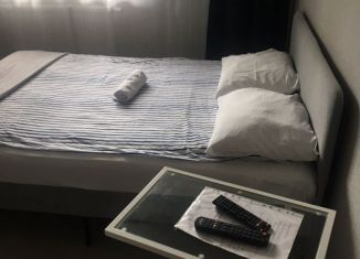 Сдам квартиру студию, 25 м2, Новосибирская область, улица Немировича-Данченко, 167/2