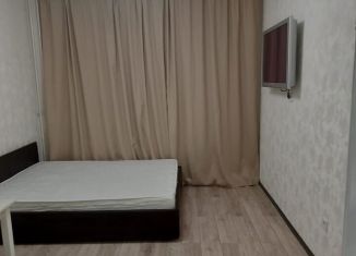 Сдаю квартиру студию, 24 м2, посёлок Шушары, Старорусский проспект, 8к1