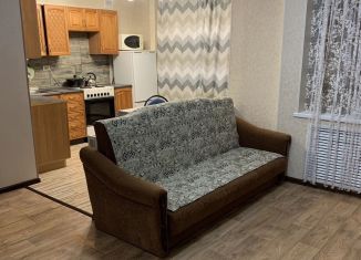 2-ком. квартира в аренду, 42 м2, Киров, улица Северная Набережная, 13