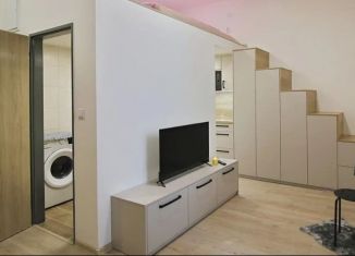 Продаю квартиру студию, 22.1 м2, Санкт-Петербург, Коломенская улица, 15-17, муниципальный округ Владимирский