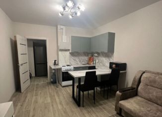 Сдам в аренду 1-комнатную квартиру, 30 м2, Ростов-на-Дону, улица Тимофеева, 14к1, ЖК Платовский